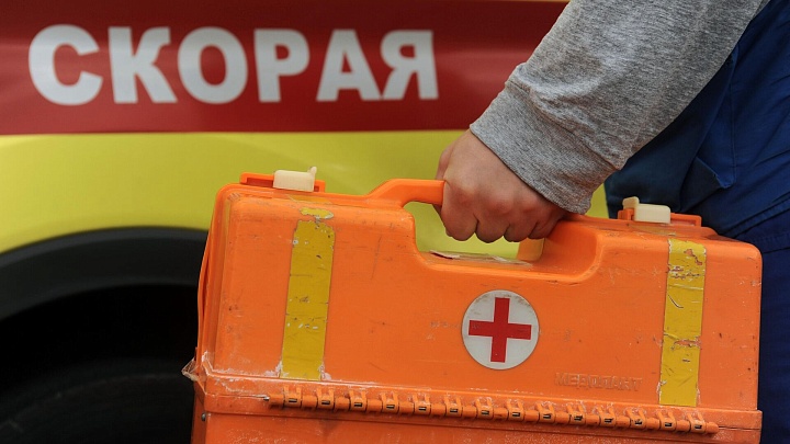 Прокуратура Алтая начала проверку после гибели туристки от нападения медведя