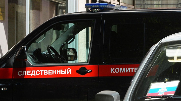 В деле об убийстве женщины в Подмосковье раскрыты новые детали